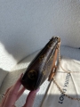 thumbnail_IMG_0826.jpg