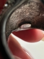 thumbnail_IMG_8475.jpg