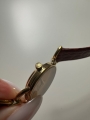 thumbnail_IMG_8625.jpg