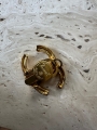 thumbnail_IMG_3807.jpg