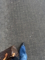 thumbnail_IMG_0266.jpg