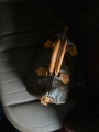 thumbnail_IMG_0287.jpg