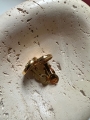 thumbnail_IMG_7011.jpg