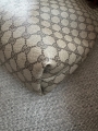thumbnail_IMG_0795.jpg