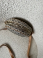 thumbnail_IMG_1424.jpg