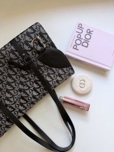 Torebka Christian Dior Trotter Saddle Shoulder Bag - dostępna