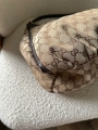 thumbnail_IMG_9527.jpg