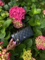 thumbnail_IMG_2257.jpg