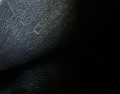 thumbnail_IMG_3953.jpg
