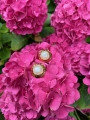 thumbnail_IMG_4305.jpg