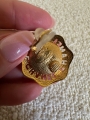 thumbnail_IMG_4341.jpg