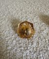 thumbnail_IMG_4343.jpg