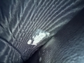 thumbnail_IMG_9267.jpg